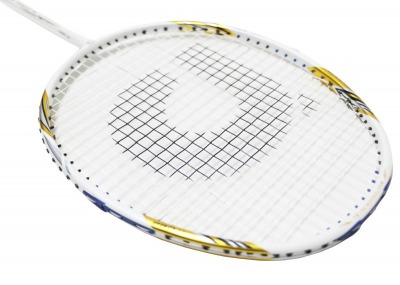 APACS Blizzard Pro ZZ Badminton Racket Head